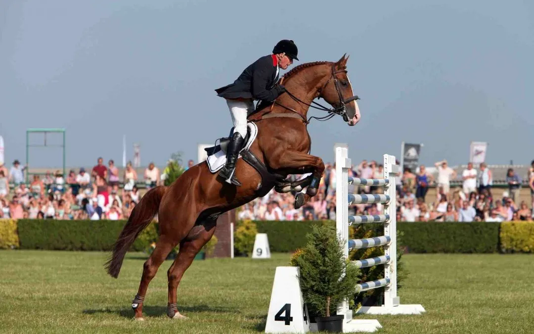 John Whitaker