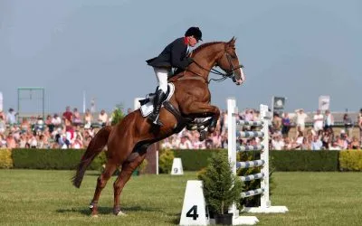John Whitaker